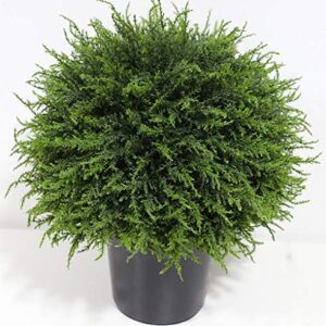 Set of 2 Details about   MyGift Artificial Boxwood Topiary Tree in Modern Gray Pulp Planter 