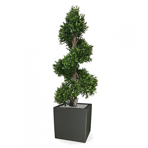 Artificial Buxus (Boxwood) Topiary Spiral Tree Real Wood Trunk