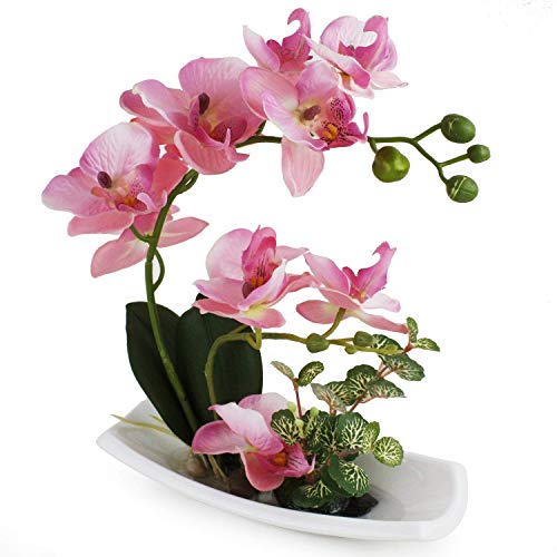 Artificial Simulation Silk Flower Butterfly Orchid Bonsai Fake Plant Pot Decor D 