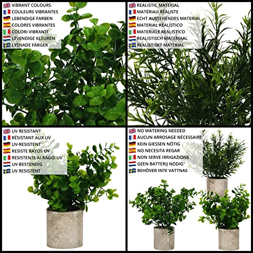 Belle Vous Mini Potted Artificial Eucalyptus Plants (3 Pack) Small
