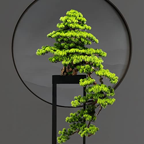 41hcFZFGeTL._SL500_