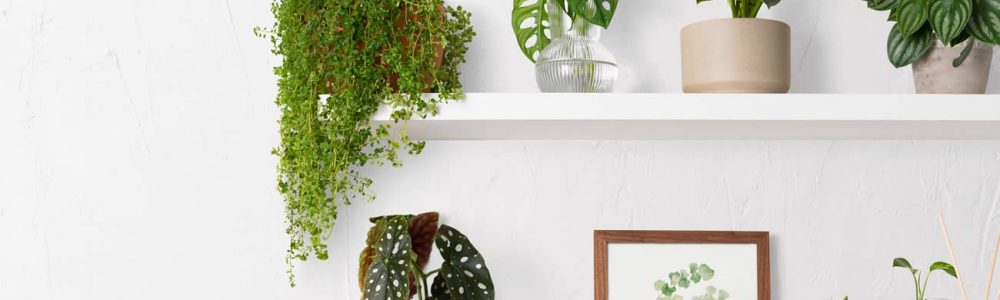 Benefits Of Artificial Plants In Todays Lifestyle
