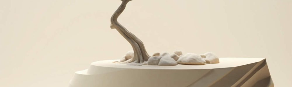 How To Revive A Bonsai Tree